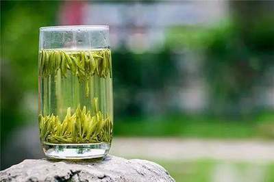 识茶笔记 六大茶类之白茶篇（一）—— 品味自然的原味精华