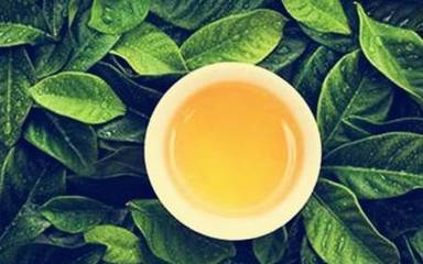 茶的真相 第一条就把我震住了，茶叶的奥秘